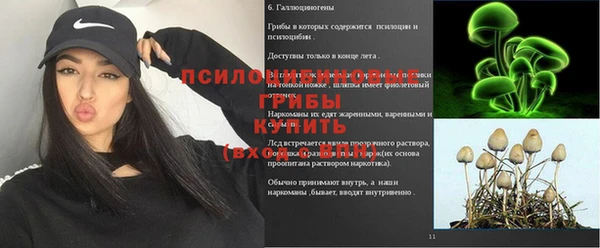 гашиш Арсеньев
