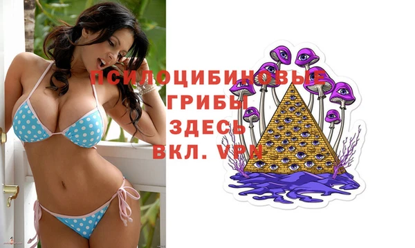 шишки Армянск