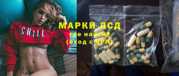 прущие грибы Аркадак