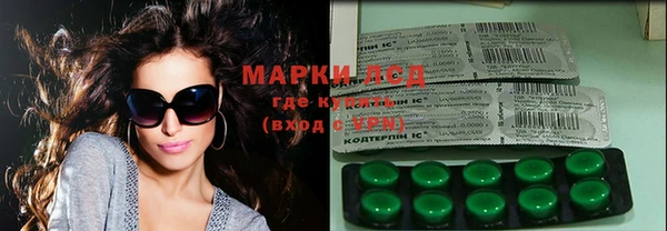 прущие грибы Аркадак