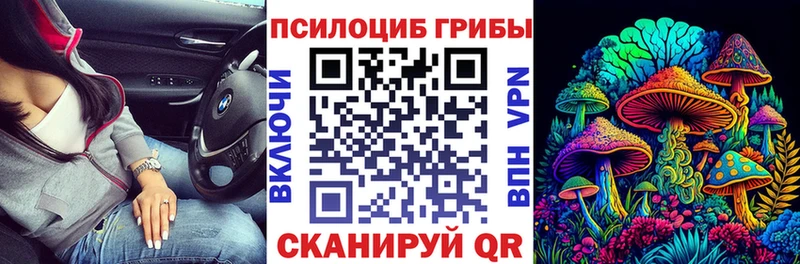 Псилоцибиновые грибы Magic Shrooms  Светлоград 